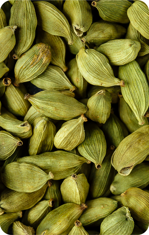 Spices